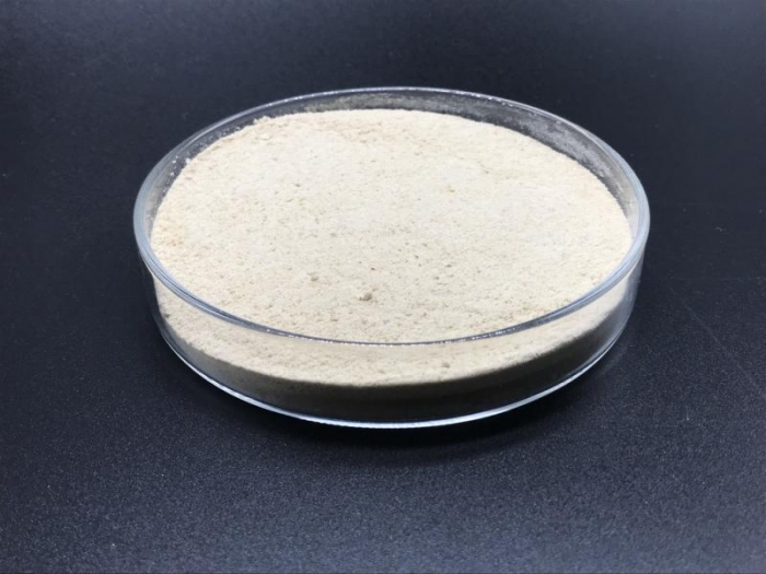 Antimicrobial Peptide