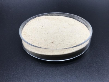 Antimicrobial Peptide